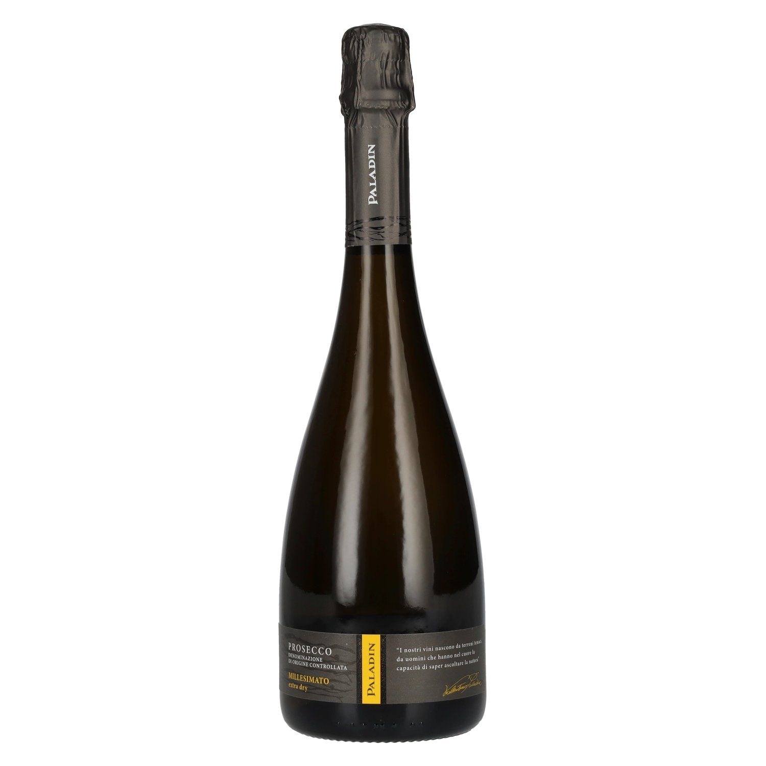 Paladin Prosecco Millesimato Extra Dry DOC 2025 11% Vol. 0,75l