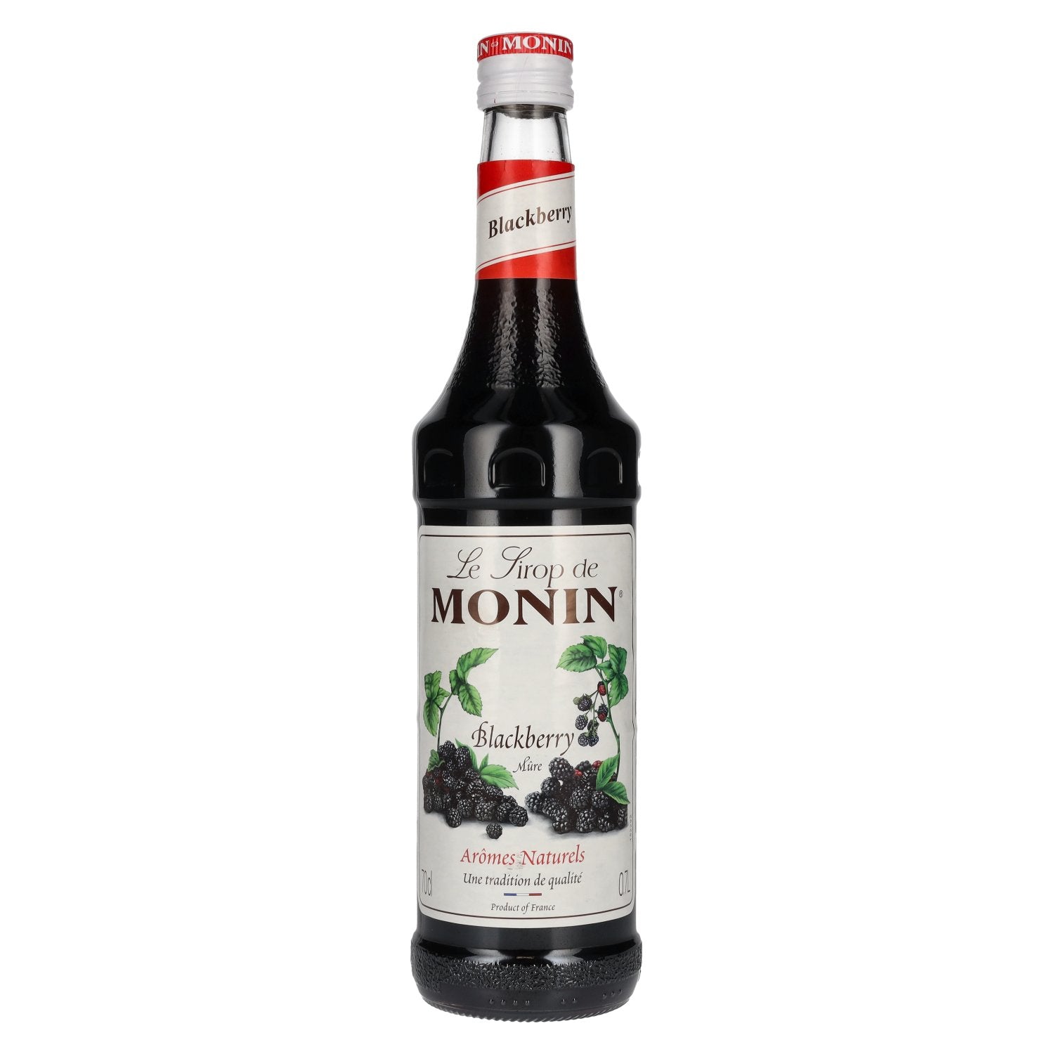 Le Sirop de Monin BLACKBERRY 0,7l