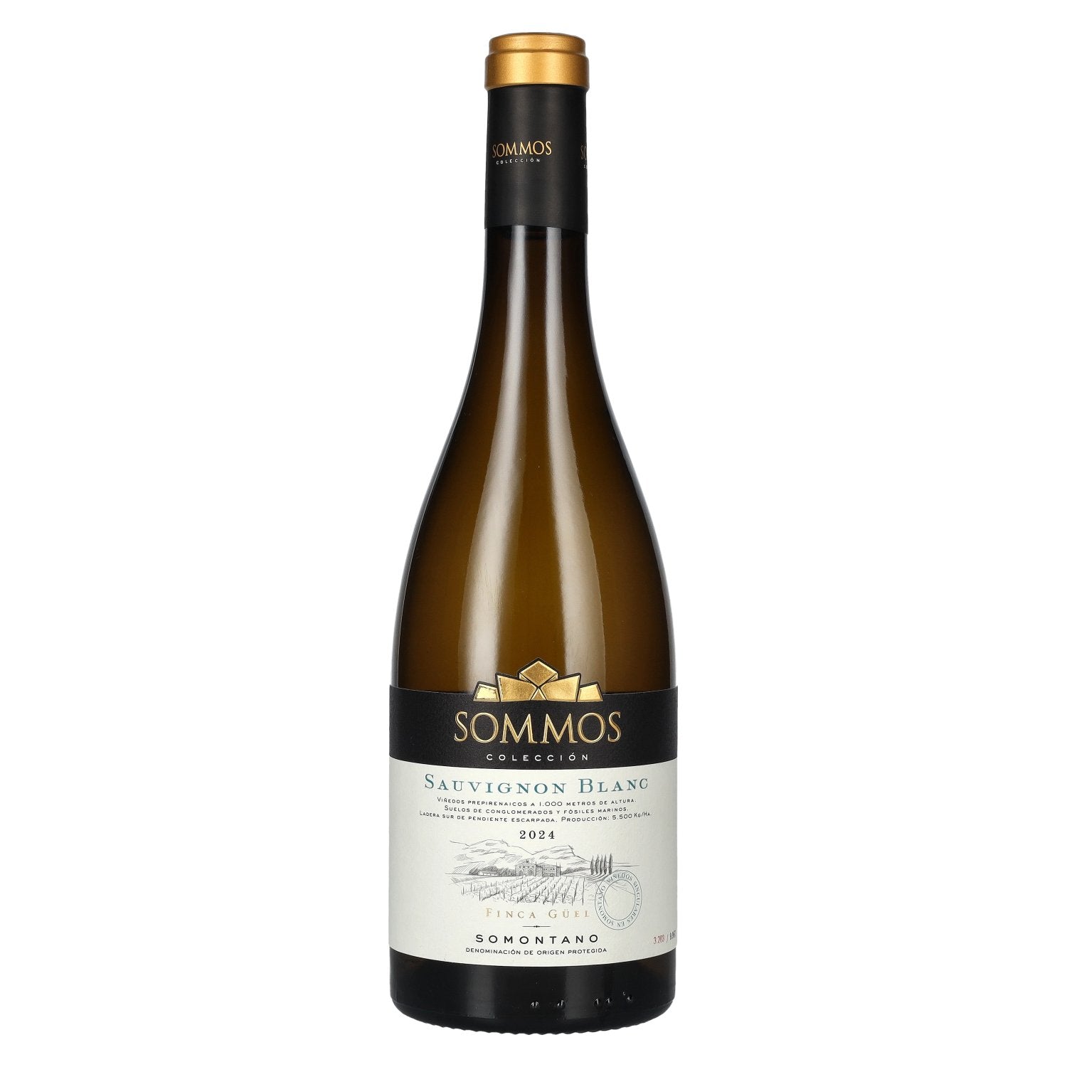 SOMMOS Coleccion Sauvignon Blanc Somontano D.O.P 2024 13,5% Vol. 0,75l