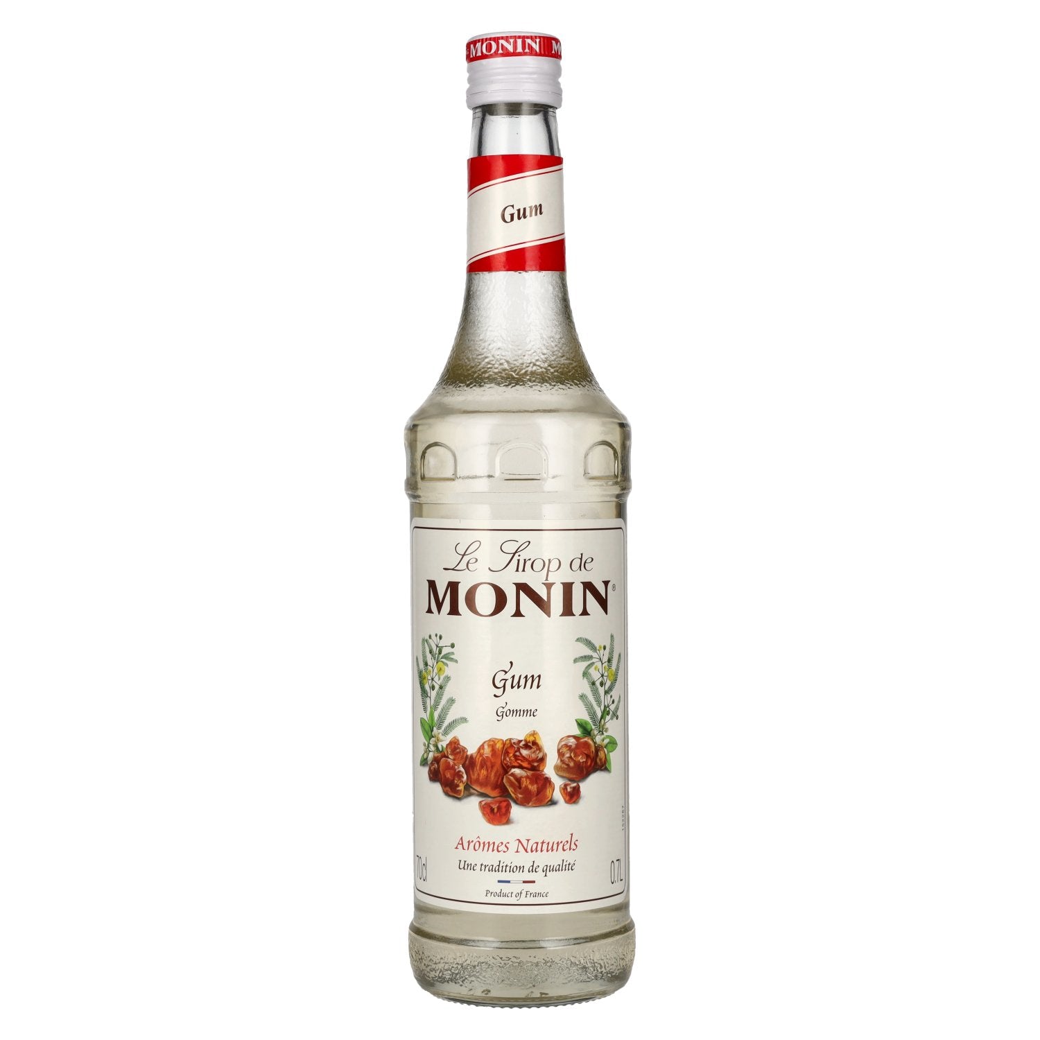 Le Sirop de Monin GOMME 0,7l